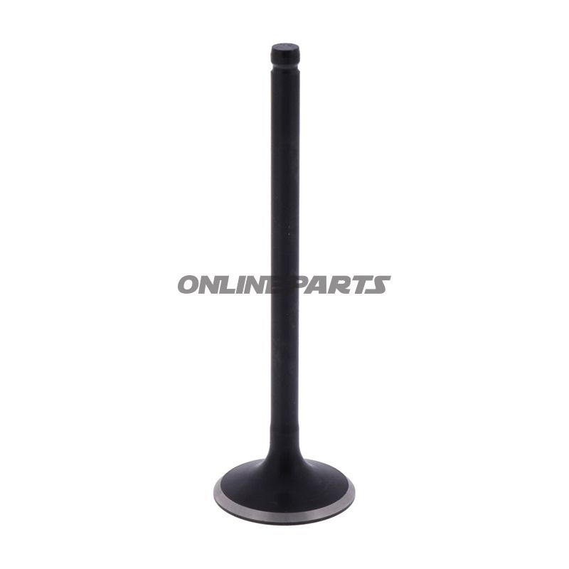 Intake Valve (Orig Spare Part)