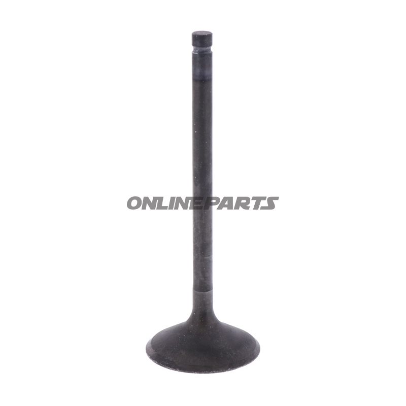 Intake Valve (Orig Spare Part)