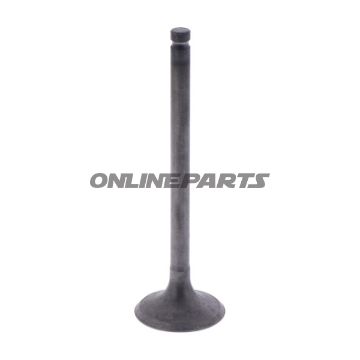 Intake Valve (Orig Spare Part)