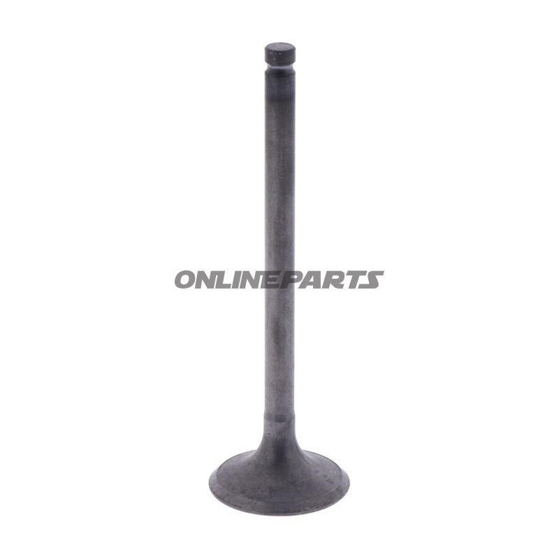Intake Valve (Orig Spare Part)