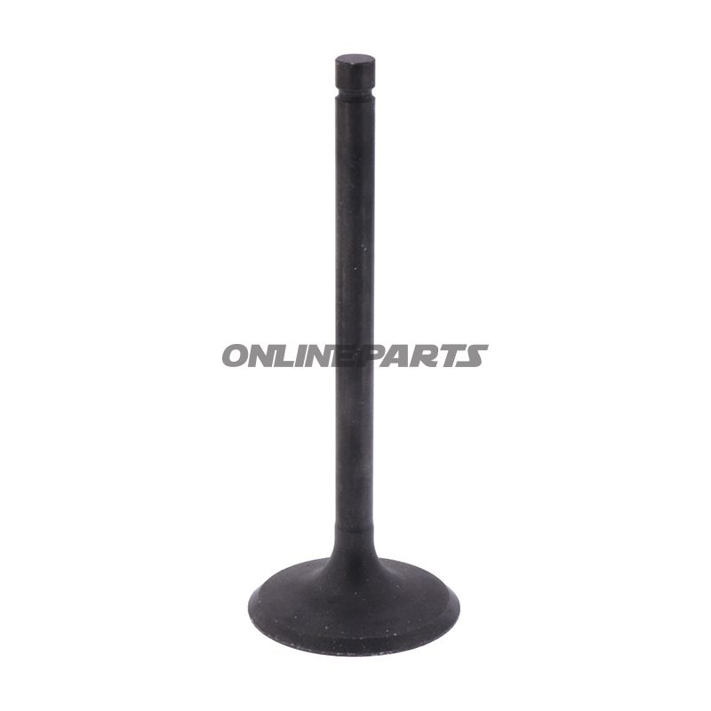 Intake Valve (Orig Spare Part)