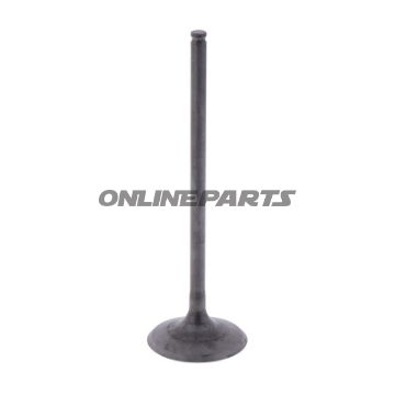 Intake Valve (Orig Spare Part)