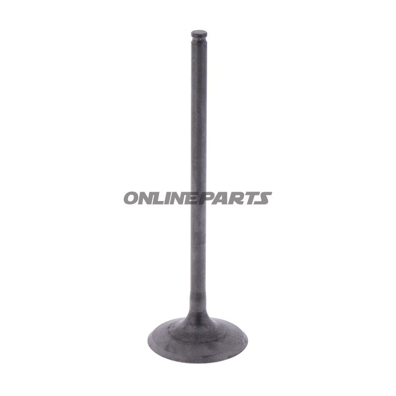 Intake Valve (Orig Spare Part)