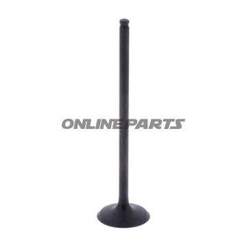 Intake Valve (Orig Spare Part)
