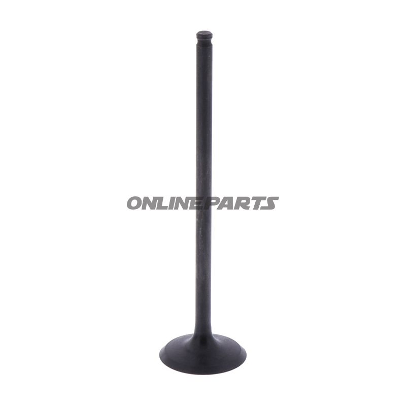 Intake Valve (Orig Spare Part)