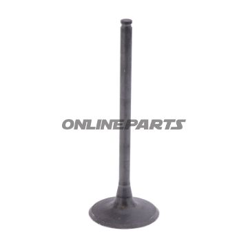 Intake Valve (Orig Spare Part)