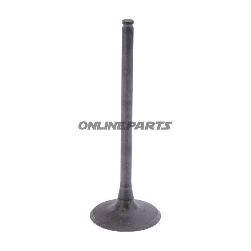 Intake Valve (Orig Spare Part)