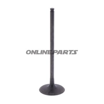 Intake Valve (Orig Spare Part)