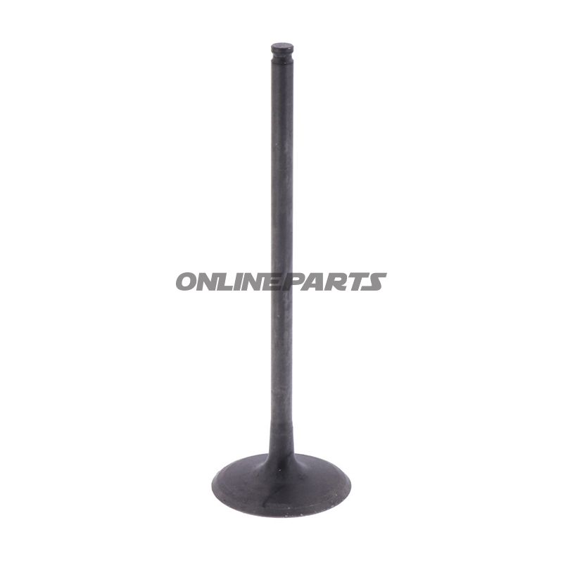 Intake Valve (Orig Spare Part)