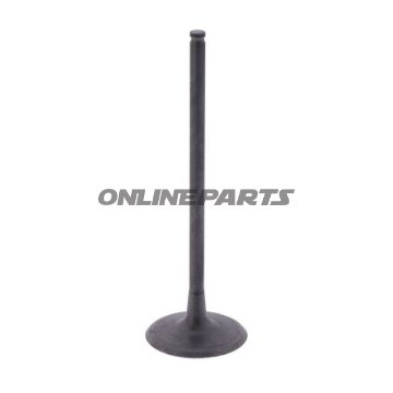 Intake Valve (Orig Spare Part)