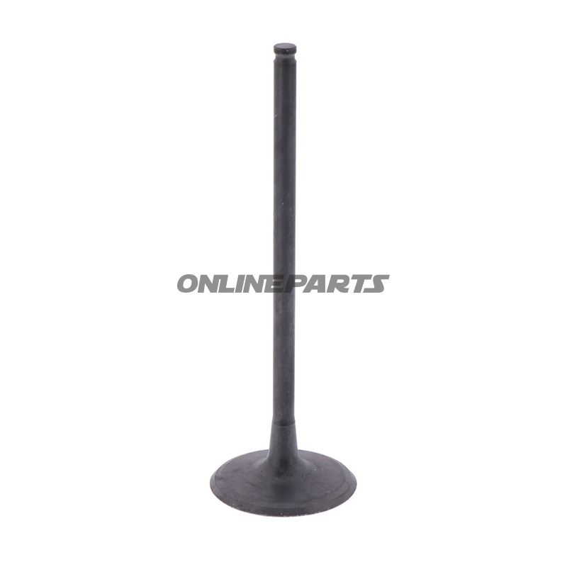 Intake Valve (Orig Spare Part)