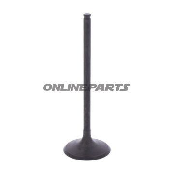 Intake Valve (Orig Spare Part)