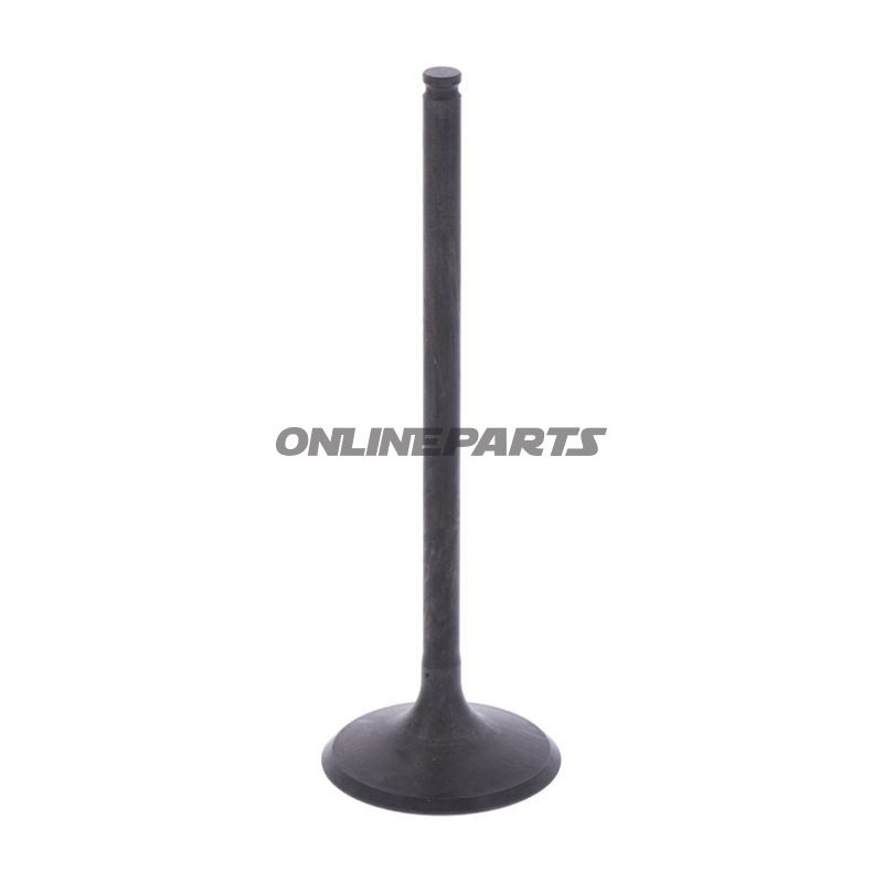 Intake Valve (Orig Spare Part)