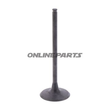 Intake Valve (Orig Spare Part)
