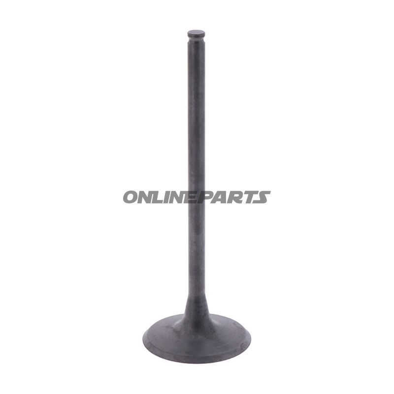 Intake Valve (Orig Spare Part)
