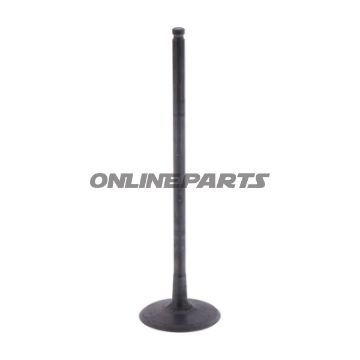 Intake Valve (Orig Spare Part)