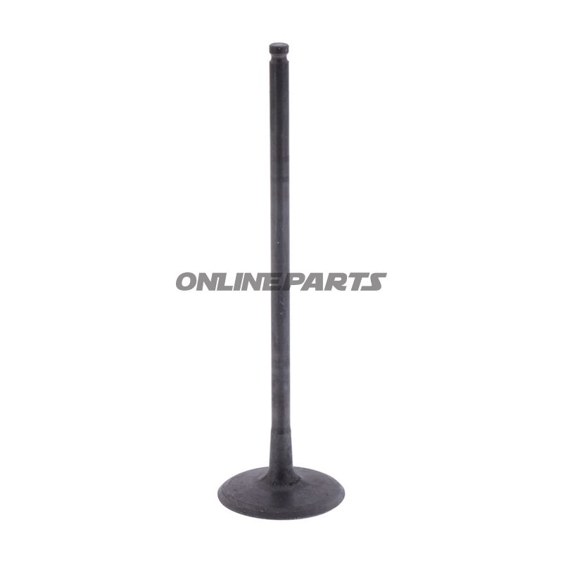 Intake Valve (Orig Spare Part)