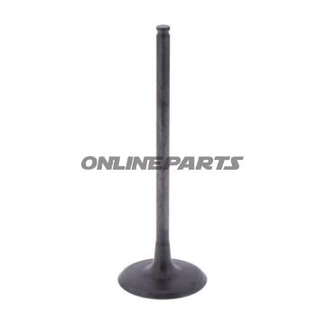Intake Valve (Orig Spare Part)