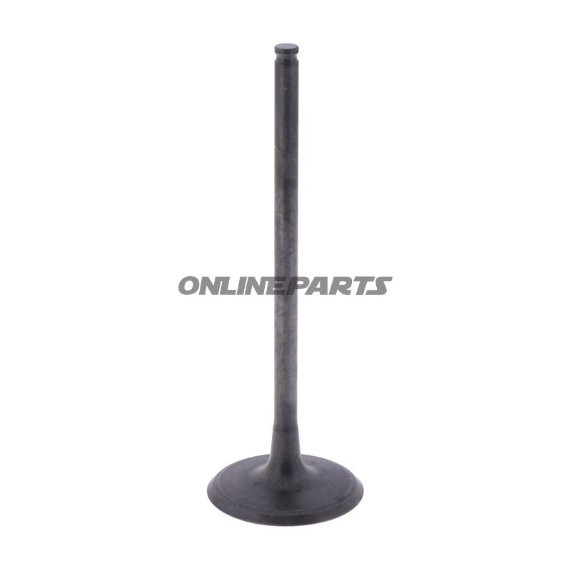 Intake Valve (Orig Spare Part)