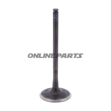 Outlet Valve (Orig Spare Part)