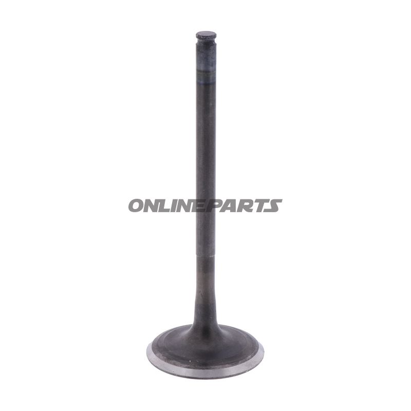 Outlet Valve (Orig Spare Part)