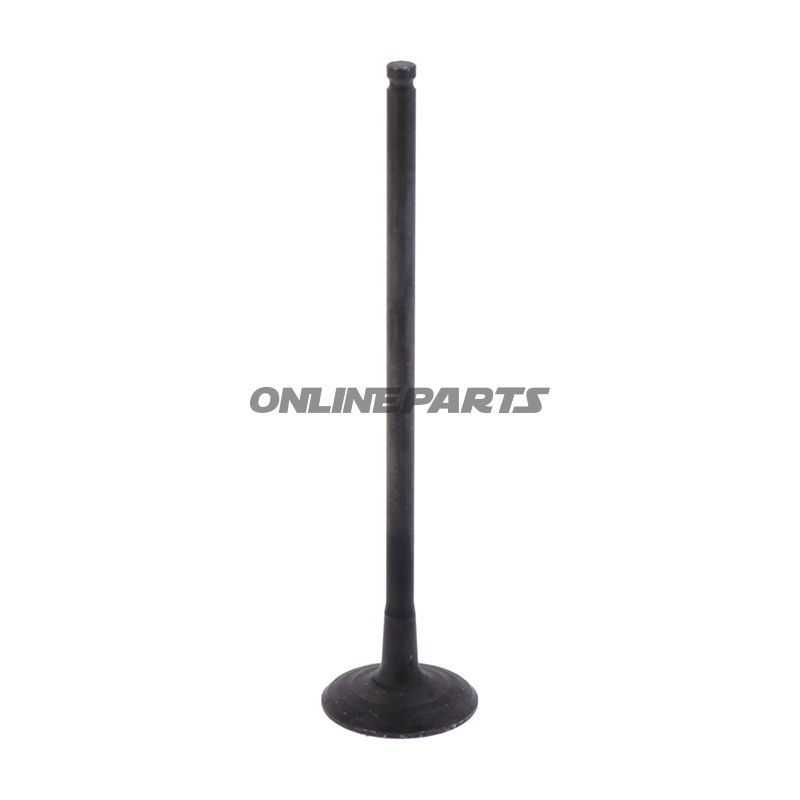 Outlet Valve (Orig Spare Part)