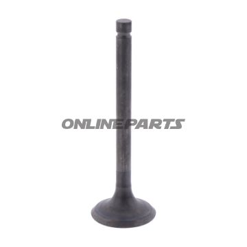 Outlet Valve (Orig Spare Part)