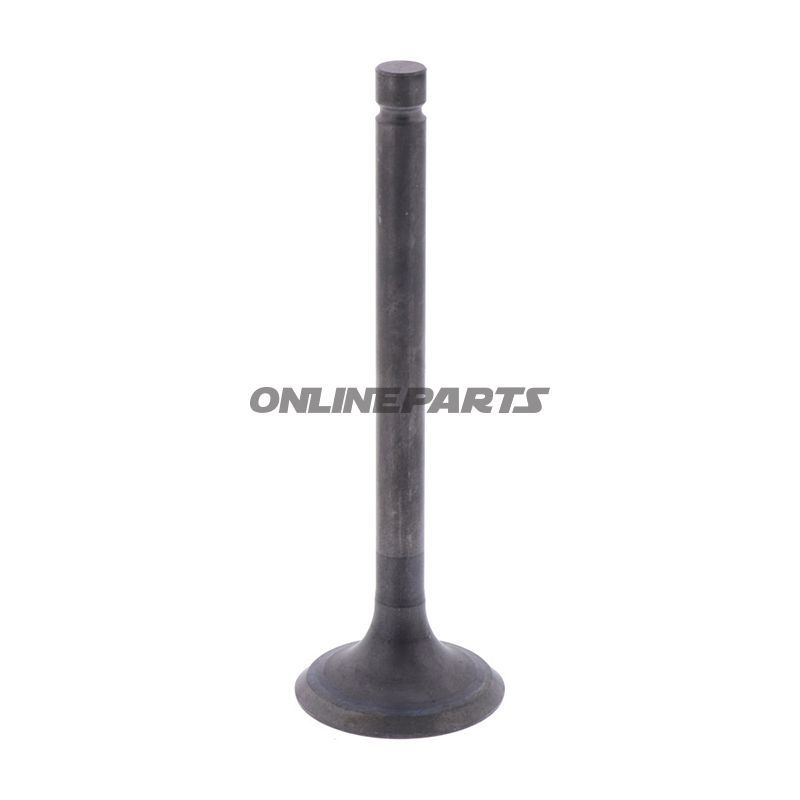 Outlet Valve (Orig Spare Part)