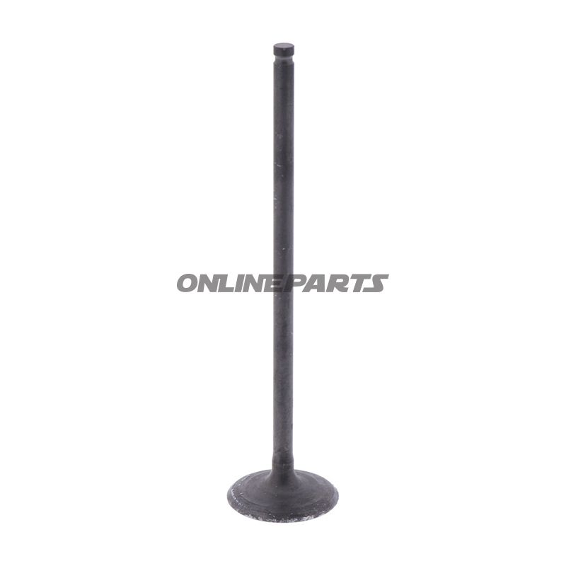Outlet Valve (Orig Spare Part)