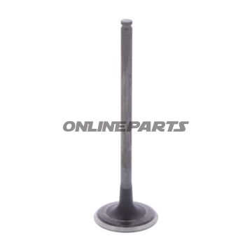Outlet Valve (Orig Spare Part)