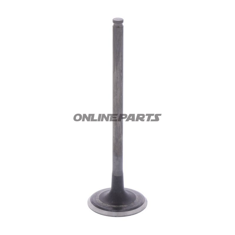 Outlet Valve (Orig Spare Part)