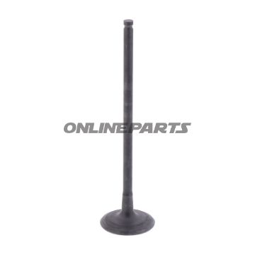 Outlet Valve (Orig Spare Part)