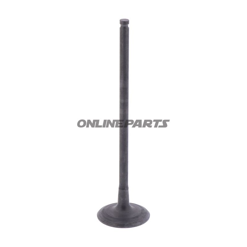 Outlet Valve (Orig Spare Part)