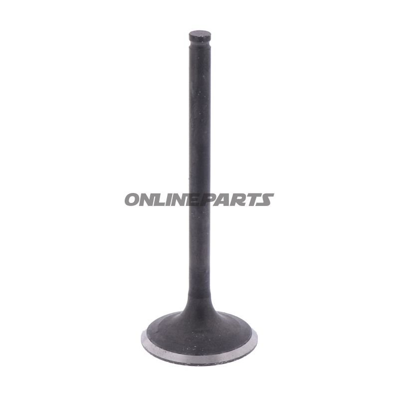 Outlet Valve (Orig Spare Part)