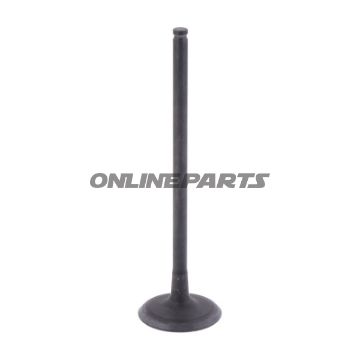 Outlet Valve (Orig Spare Part)
