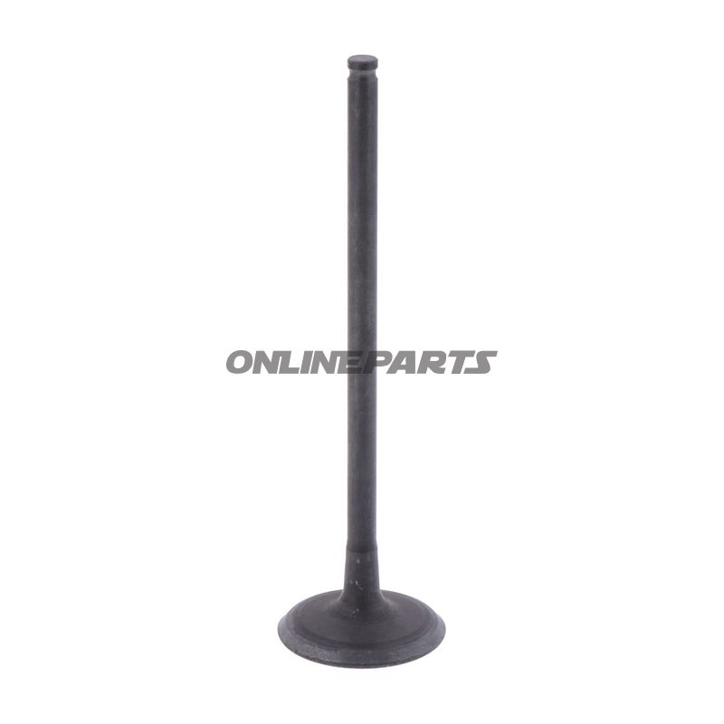 Outlet Valve (Orig Spare Part)