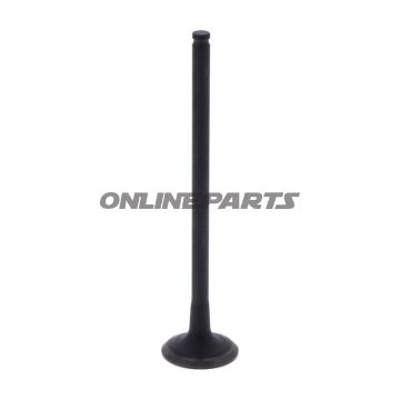 Outlet Valve (Orig Spare Part)