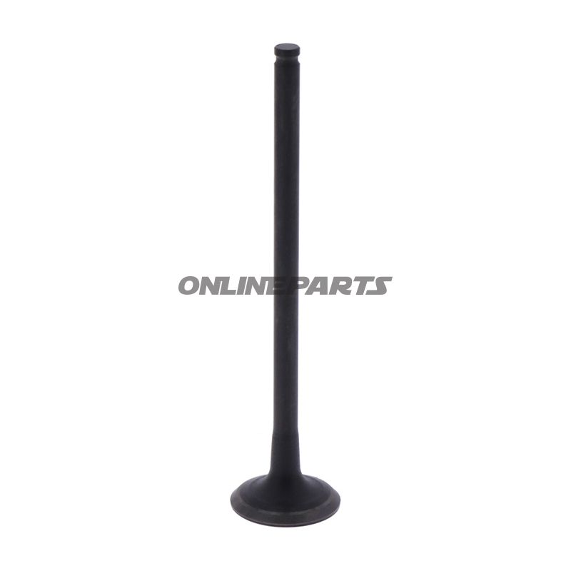 Outlet Valve (Orig Spare Part)