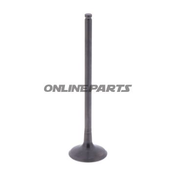 Outlet Valve (Orig Spare Part)