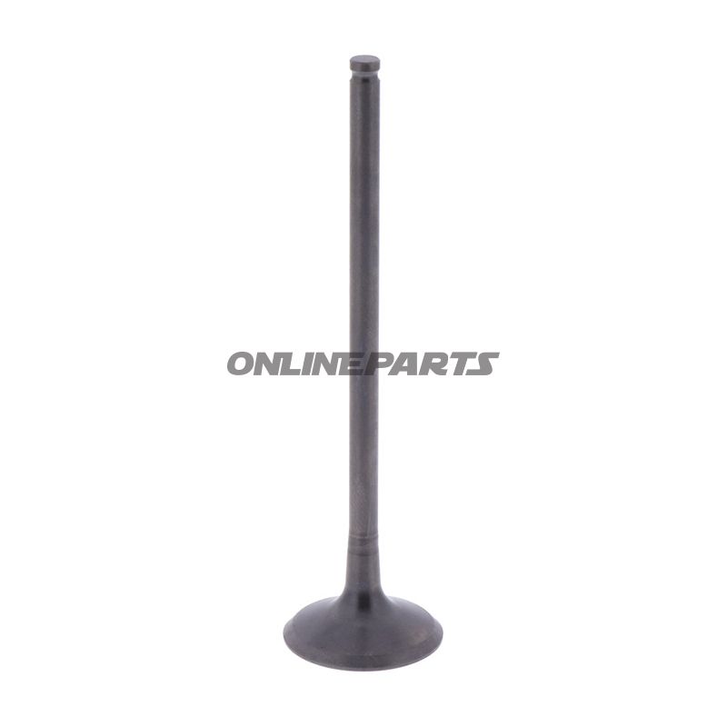 Outlet Valve (Orig Spare Part)