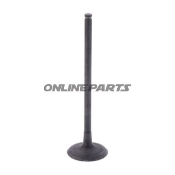 Outlet Valve (Orig Spare Part)