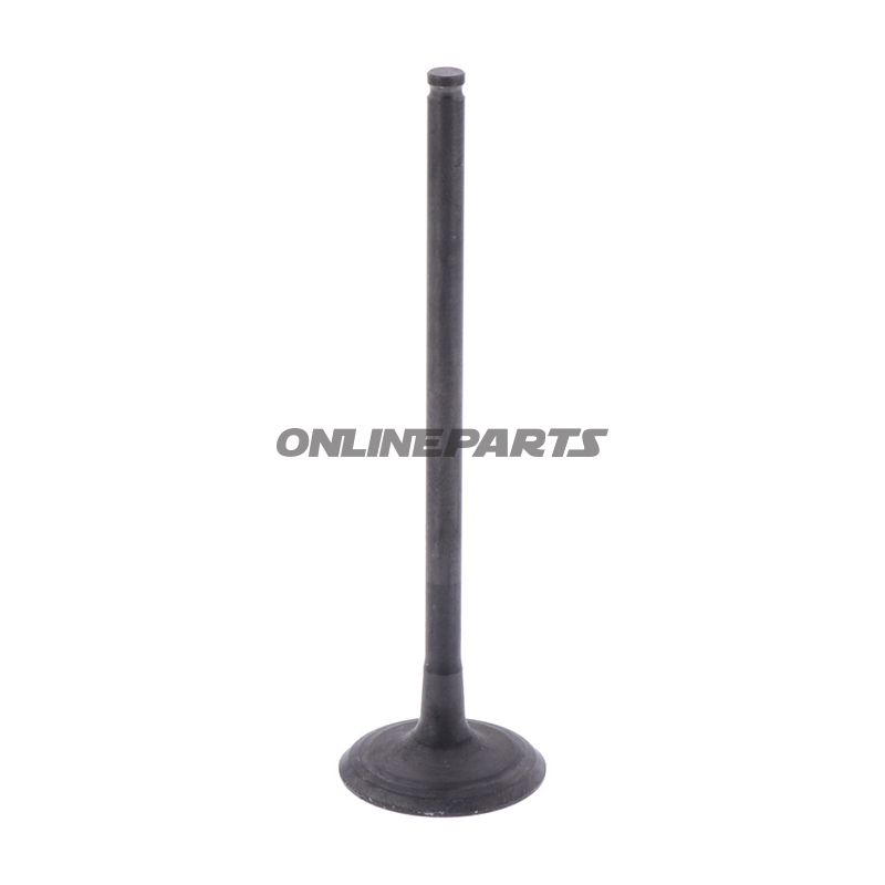 Outlet Valve (Orig Spare Part)