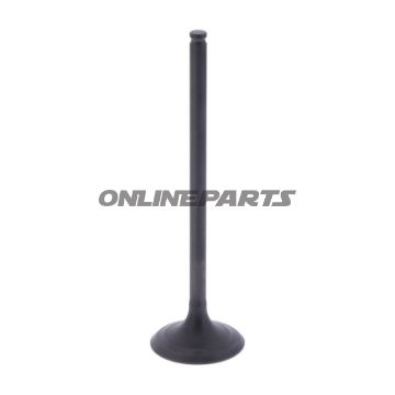 Outlet Valve (Orig Spare Part)