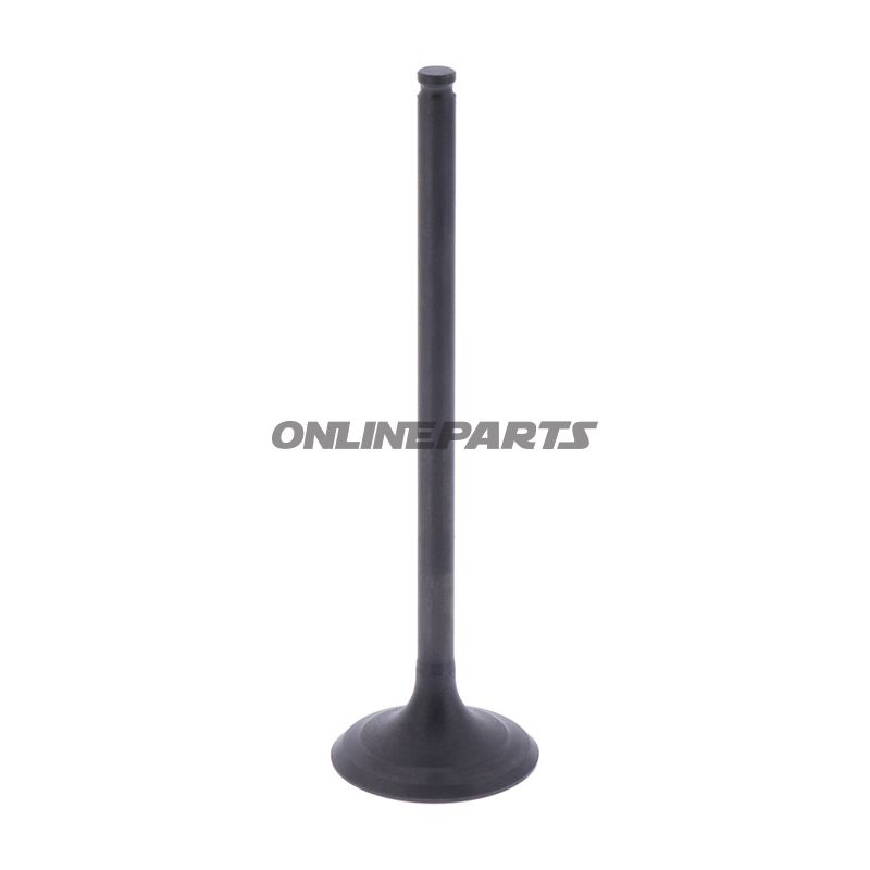 Outlet Valve (Orig Spare Part)