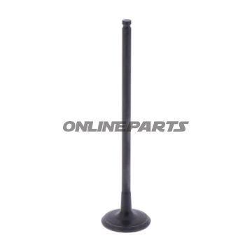 Outlet Valve (Orig Spare Part)
