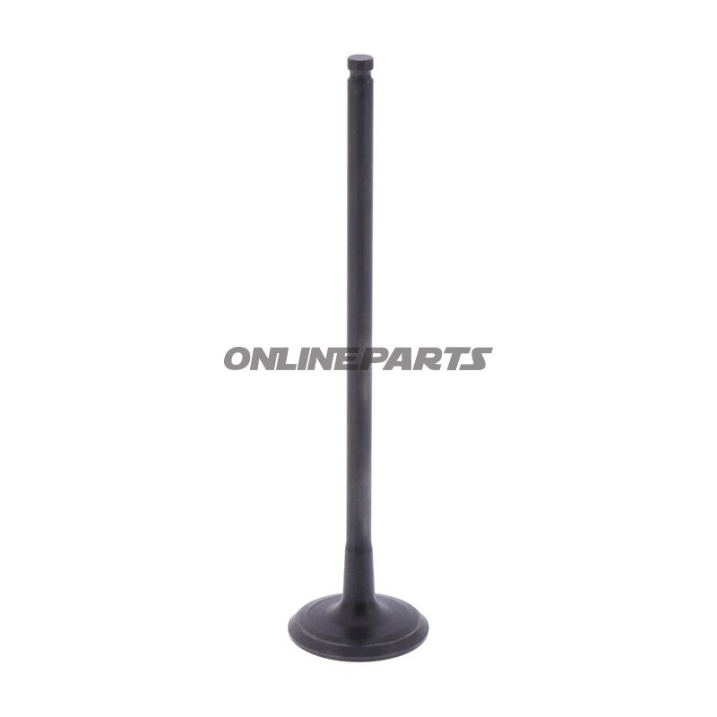 Outlet Valve (Orig Spare Part)