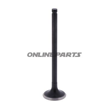 Outlet Valve (Orig Spare Part)