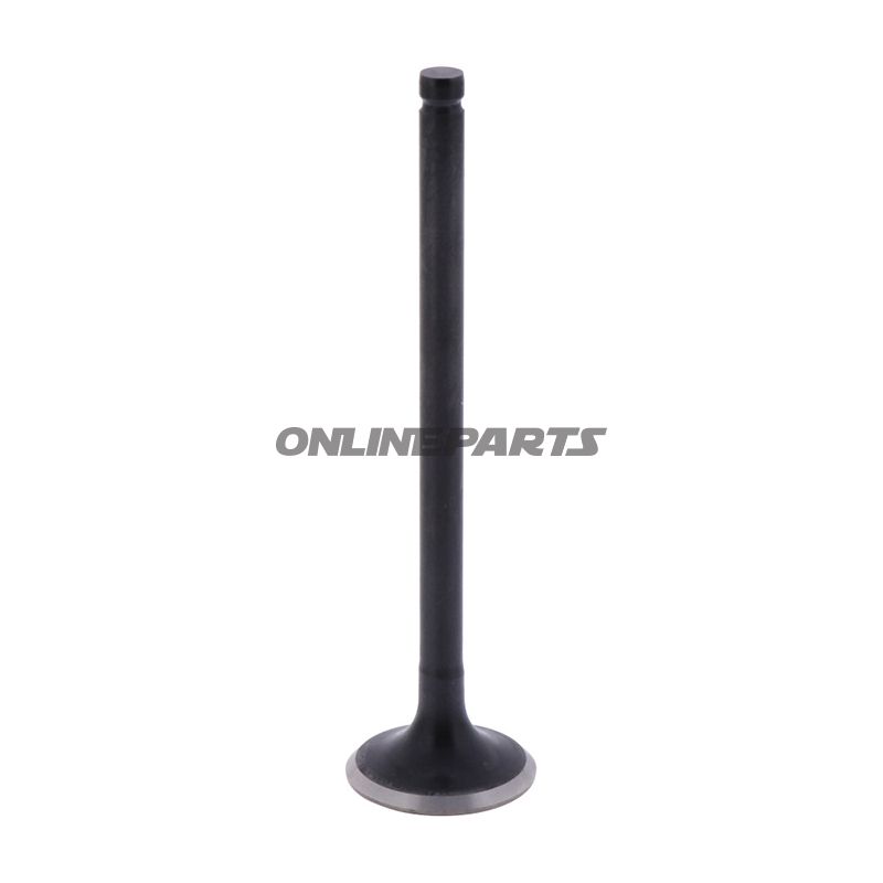 Outlet Valve (Orig Spare Part)