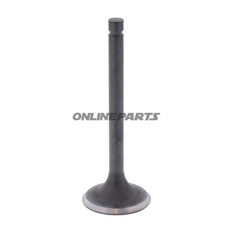 Outlet Valve (Orig Spare Part)