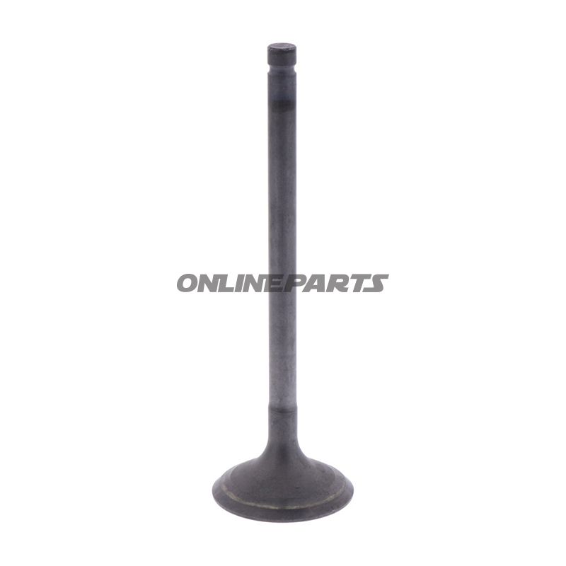Outlet Valve (Orig Spare Part)